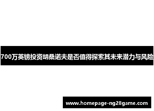 700万英镑投资胡桑诺夫是否值得探索其未来潜力与风险