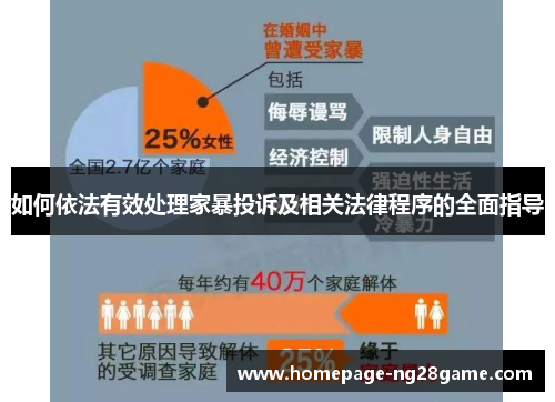 如何依法有效处理家暴投诉及相关法律程序的全面指导