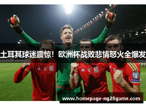 土耳其球迷震惊！欧洲杯战败悲情怒火全爆发