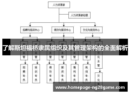 了解斯坦福桥隶属组织及其管理架构的全面解析