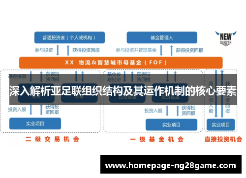 深入解析亚足联组织结构及其运作机制的核心要素