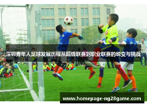 深圳青年人足球发展历程从超级联赛到职业联赛的蜕变与挑战