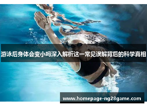 游泳后身体会变小吗深入解析这一常见误解背后的科学真相