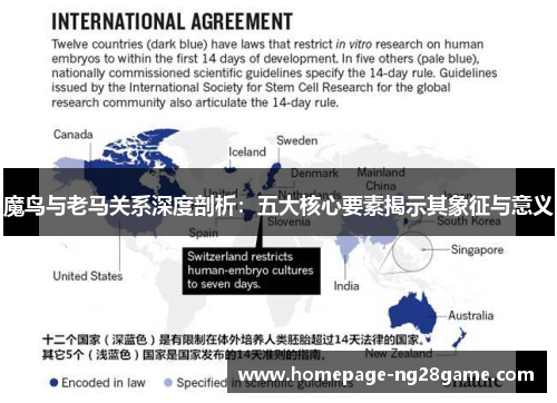 魔鸟与老马关系深度剖析：五大核心要素揭示其象征与意义