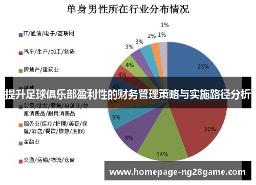 提升足球俱乐部盈利性的财务管理策略与实施路径分析 提升足球俱乐部盈利性的财务管理策略与实施路径分析
