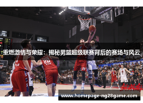 重燃激情与荣耀：揭秘男篮超级联赛背后的赛场与风云