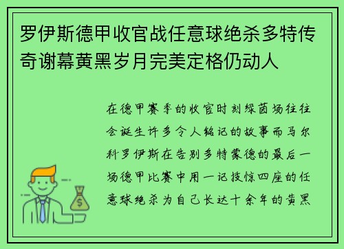 罗伊斯德甲收官战任意球绝杀多特传奇谢幕黄黑岁月完美定格仍动人
