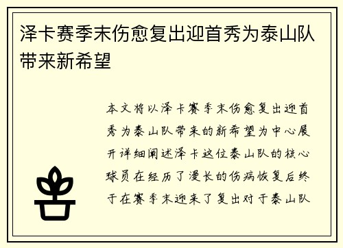 泽卡赛季末伤愈复出迎首秀为泰山队带来新希望