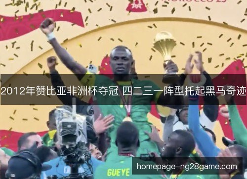 2012年赞比亚非洲杯夺冠 四二三一阵型托起黑马奇迹 2012年赞比亚非洲杯夺冠 四二三一阵型托起黑马奇迹
